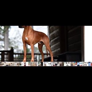 Meet your Posher, Kenna